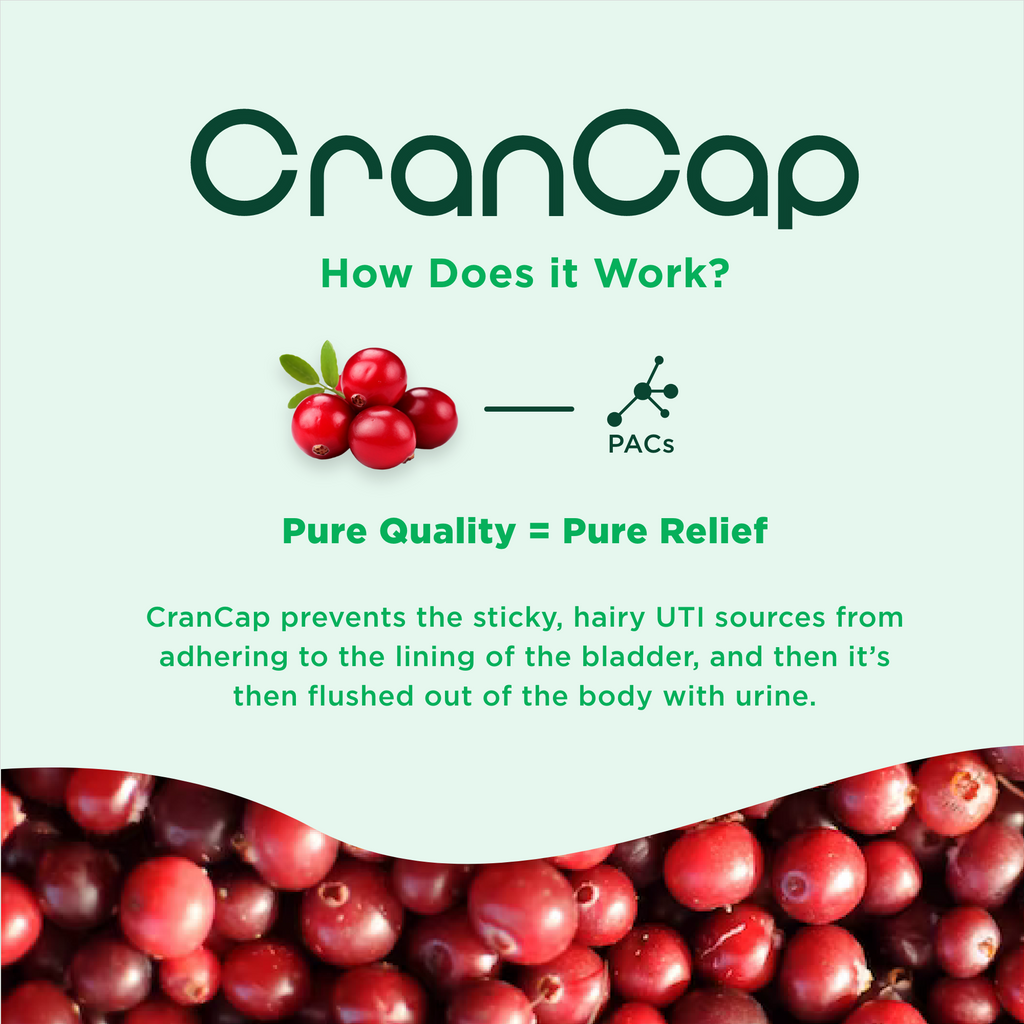 CranCap PAC Urinary Tract Support
